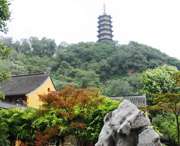 蒙城天气预报40天